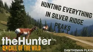 HUNTING EVERYTHING ON SILVER RIDGE PEAKS | thehunter: Call of the Wild | Ep. 2