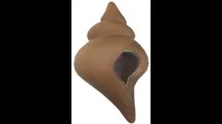 Links Awakening - Martha's Bay Owl Status Secret Seashell