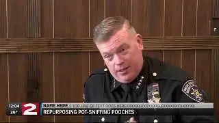 What happens to police drug detection dogs if pot is legalized in NY?