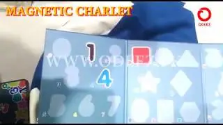 Magnetic Chartlet Puzzle   Number, Fruit & Shapes