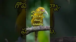 Top matalu #3744 | manchi matalu | jeevitha satyalu | neethi vakyalu | telugu sukthulu | quotations