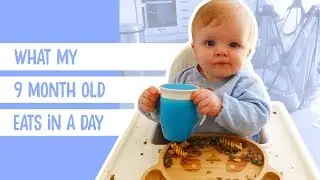 WHAT MY 9 MONTH OLD EATS IN A DAY | BABY LED WEANING | VEGAN FAMILY | VEGAN WEANING | EASY RECIPES