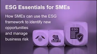 ESG Essentials for SMEs