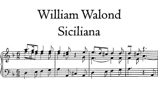 Walond - Siciliana in D minor - Schnitger organ, Martinikerk, Groningen, Hauptwerk