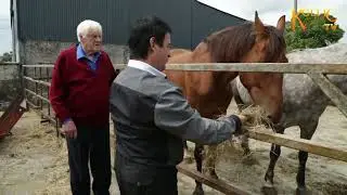 Declan Nerney Ballad of Big Tom