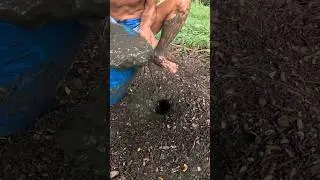 Land Crab Hunting Secret: Mud Trick to Lure & Catch Crabs 🦀🌿 | Ancient Technique for a Big Harvest