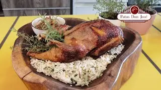 Receta Pato al Horno - R #15