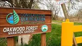 Detroit's Oakwood Heights New Rouge River Park Construction. Oakwood Forest. Marathon Refinery.