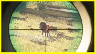 #96 Jagderfolge bei TheHunter Call of the Wild / Vurhonga Savanna
