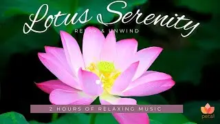 Lotus Serenity 🌸 Calming Music for Relaxation, Meditation & Sleep