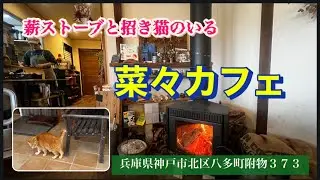 玄米が食べれる、薪ストーブのあるこだわり健康カフェ。猫ちゃんが迎えてくれます。#神戸市北区ランチ#看板猫