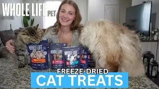 Whole Life Pet Freeze-Dried Cat Treats Review (JUST 1 INGREDIENT) | Healthy & Irresistible?