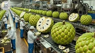 Inside la Fábrica de Chirimoya: Del Fruto Fresco a Postres Irresistibles