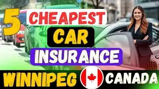 Top 5 Cheapest Auto Insurance Companies in Winnipeg | How to Get the Lowest Car Insurance Canada