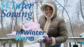 Easiest Winter Sowing Method|Brassicas, Aliums, Herbs Artichoke, Leafy Greens