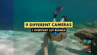 The Everyday LUT Bundle | 18 LUTs for PREMIERE PRO + more