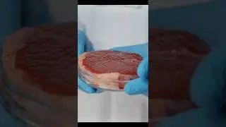 🍖🔬 Invention Spotlight: Lab-Grown Meat at Scale 🌍✨#shorts #technology