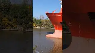 Little Ship Big Ship #ship #tugboat #shipping #boat #tanker #oiltanker #ships #shorts