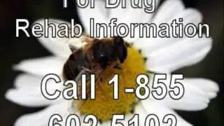 Government Based Outpatient Drug Treatment Close to Greenville