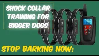 Affordable Shock Collar with Anti-Bark for Bigger Dogs (PD526-T10) - Review and Demo