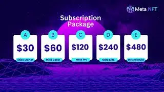 Meta NFT Business Plan 2025 | Complete MLM Income Plan Explained