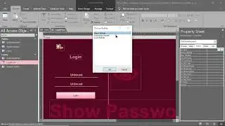 Show user Password checkbox