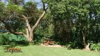 Chez Nous Bed & Breakfast Accommodation Dundee KwaZulu Natal South Africa - Africa Travel Channel