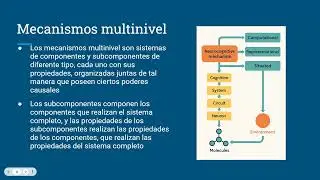 Mariana Salcedo - Comentario a Neurocognitive mechanisms  (Piccinini, 2022)