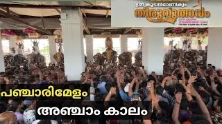 Panchari Melam🔥| 5aam Kaalam | Peruvanam Kuttan Marar | Koodalmanikyam Thirulsavam 2024
