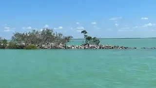 Spring Break Boat Trip: Exploring Sarasota, Boca Grande & Venice!