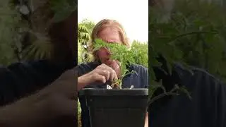 Live Gardening from MML 129