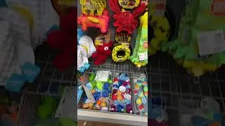 🐶 Dog toys at Walmart‼️ #shorts