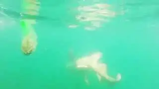 GoPro: Angler catches MONSTER Nurse Shark