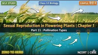 Pollination Agents Sexual Reproduction In Flowering Plants Part11