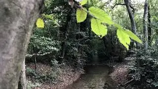I fontanili di Spirano
