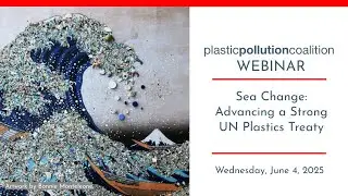 Sea Change: Advancing a Strong UN Plastics Treaty