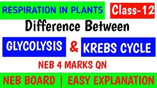 Glycolysis vs Krebs Cycle &ndash; Most Important 4 Marks Question for NEB Board | Mero Tutor 