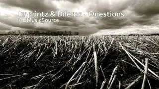 Imprintz & Dilemn - Questions HD (320Kbit)