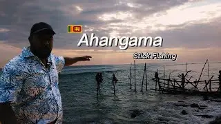 Stick Fishing In Ahangama Lk
