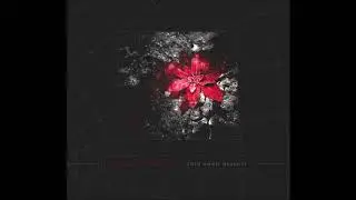 Cold Womb Descent - Science Art Project (Full Album)