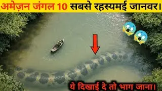 अमेज़न जंगल के 10 सबसे खतरनाक जानवर। 10 Most Dangerous Animals of the Amazon Jungle.