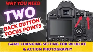 How To Set Dual Back Button Focus Buttons For Better Wildlife and Action Photography