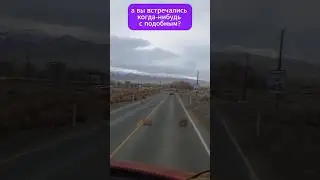 ПЕРЕКАТИ-ПОЛЕ сносит АВТОМОБИЛЬ