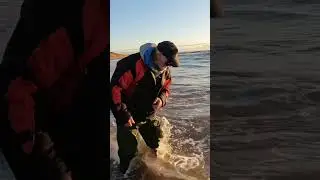 Fishing Free: beach fishing: FISHnTHINGS 🎣🐟🐟🐟