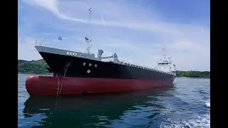 赤阪鐵工所　A34　2000ｐｓ　クラッシュ・ストップ・アスターン試験（Crash Stop Astern Test）