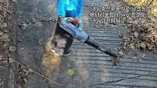 가을낙엽청소 2 - 세닉스 SENIX 58V 충전송풍기 사용