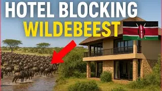 Is Kenya&rsquo;s Wildlife Under Threat?Masaai Mara Scandal 😳