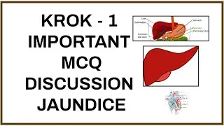 Krok 1 Important Mcq Discussion - Jaundice