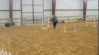 BOING