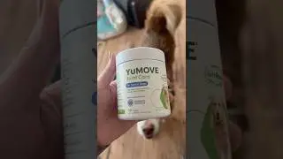 Yumove Hip and Joint Supplement for Dogs with Glucosamine Chondroitin, Omega 3 #doghealth #shorts